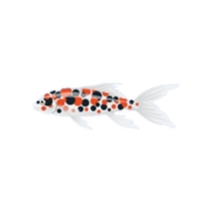 Polka Dot Koi